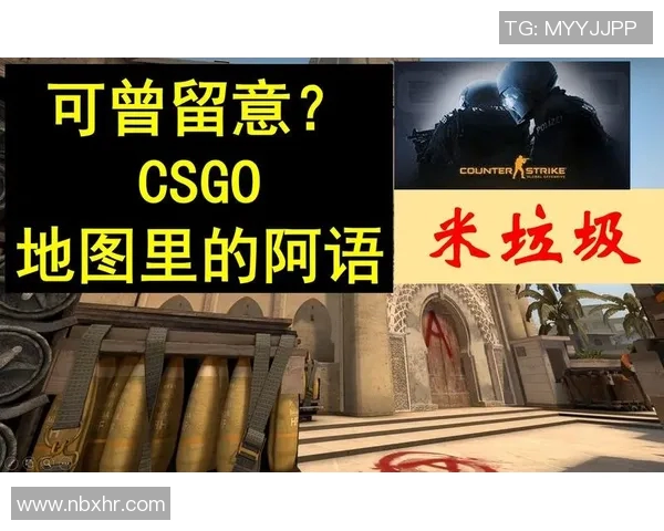 专访黄静：深入探讨CSGO成功背后的秘密与未来发展方向